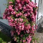 Apartament Allezeit Sauerland Drolshagen