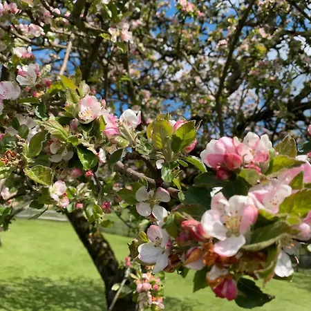 Allezeit Sauerland Apartment Drolshagen