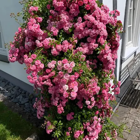 Allezeit Sauerland