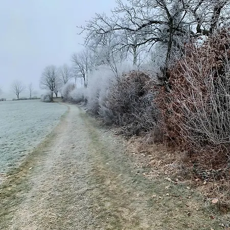 Allezeit Sauerland Apartment *