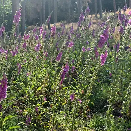 Allezeit Sauerland