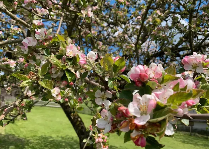 Allezeit Sauerland Apartamento Drolshagen