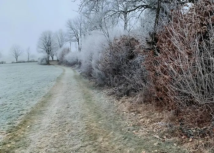 Allezeit Sauerland Apartamento *